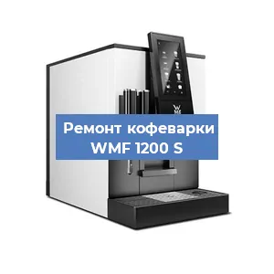 Чистка кофемашины WMF 1200 S от накипи в Краснодаре